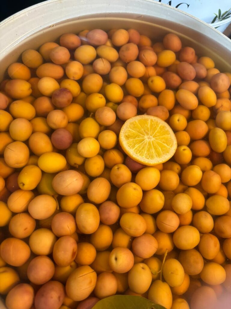 ikizlerzeytin yesilzeytin2